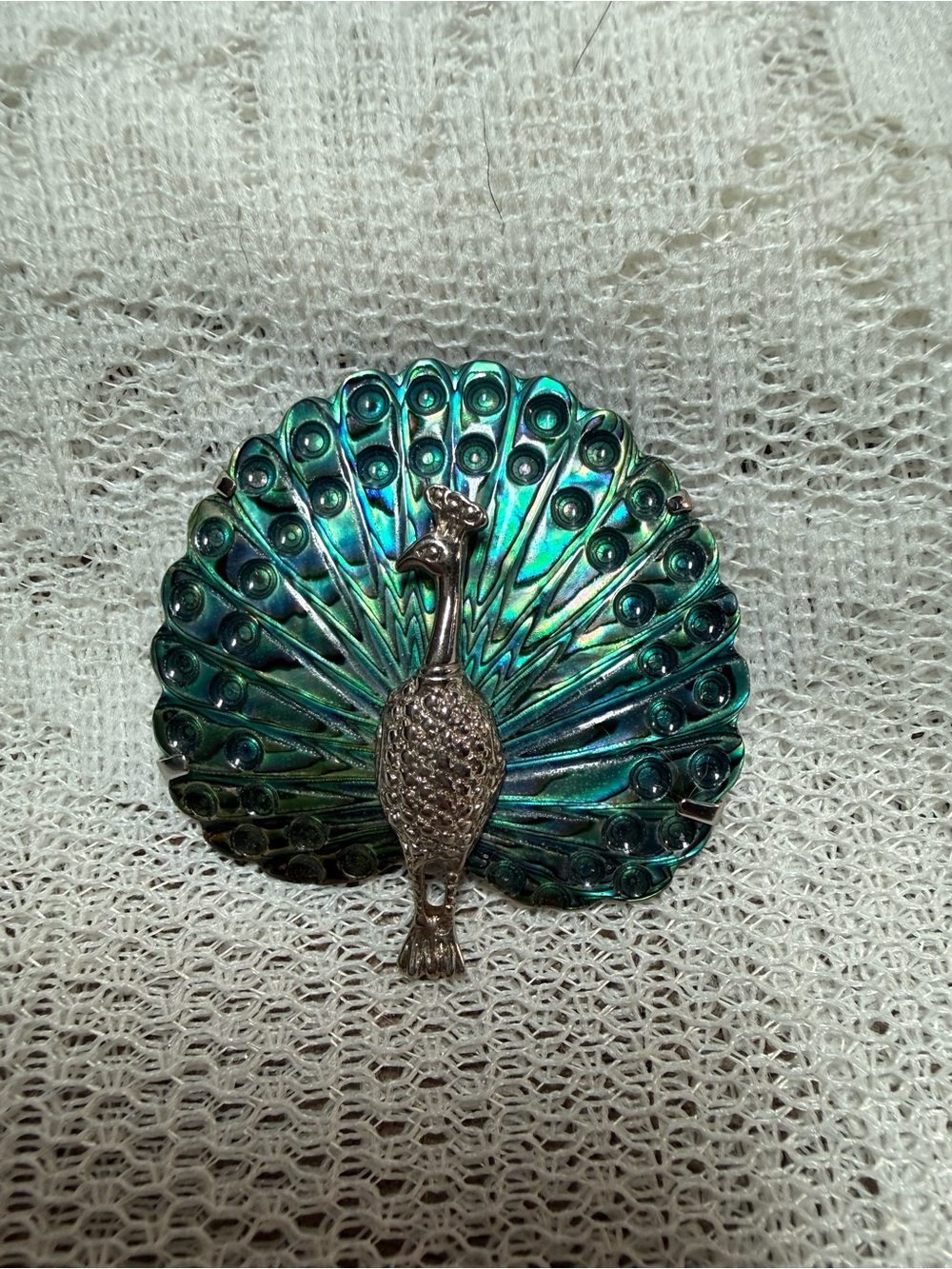 Abalone Shell Peacock